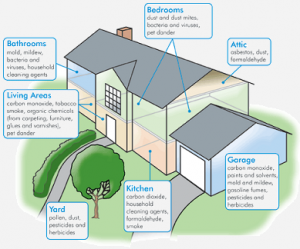 action air quality testing