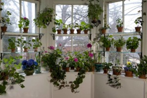 Reduce Formaldehyde Risks